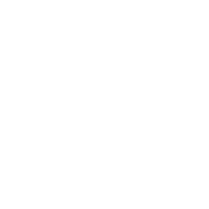 Genesis Seguros