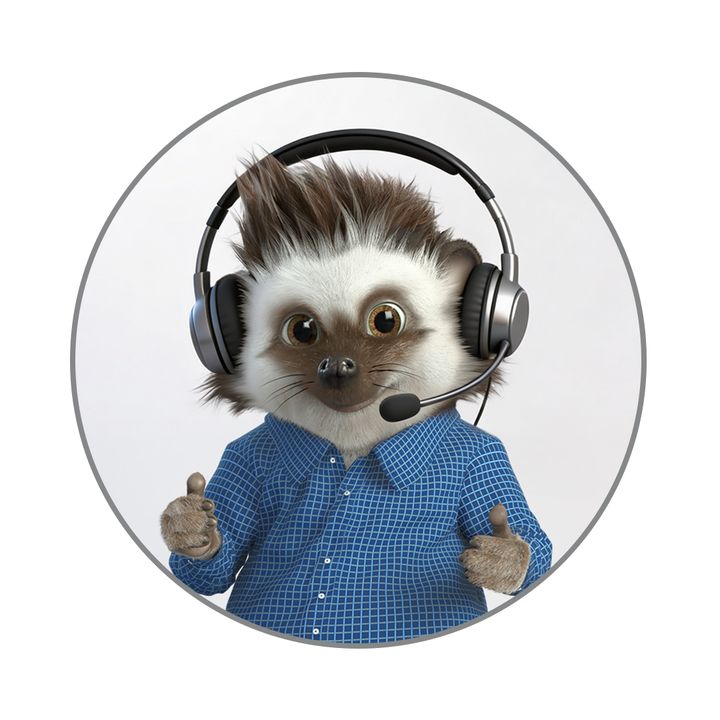 Rizo con auriculares, como asesor